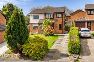 Photo 24- click for photo gallery